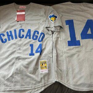 MITCHELL and NESS 1969 CHICAGO CUBS ERNIE BANKS Men's JERSEY Sz M,L,XL,2XL New